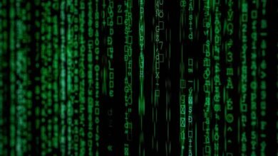 search for phone information