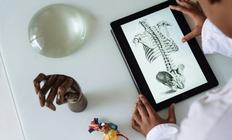analytical reference record summary