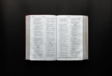 dataset reference document list