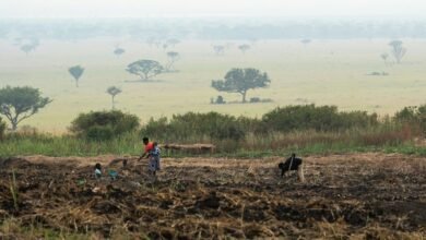 business growth monitoring numbers