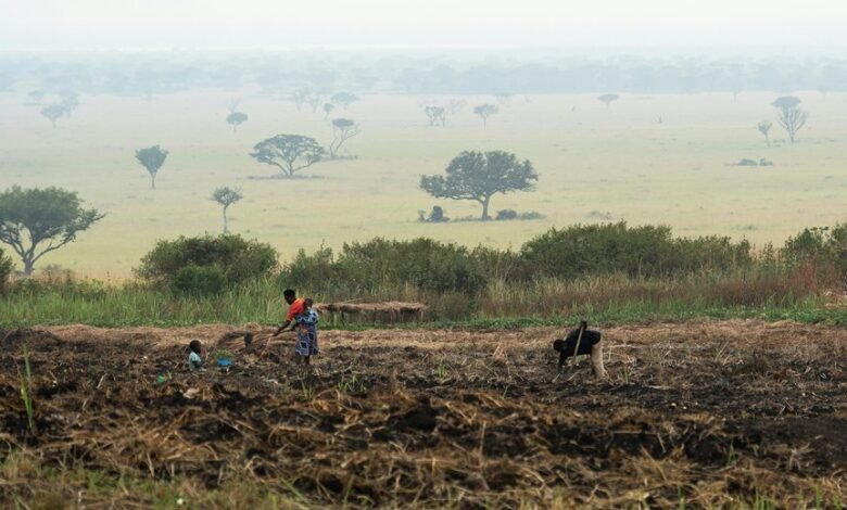 business growth monitoring numbers