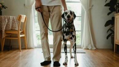 caller legitimacy concerns for 9512237966