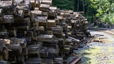 network tracking tied to 3478435466863762 and feedback logs