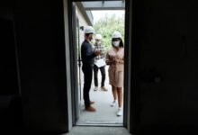 optimal builder 628200639 market influence