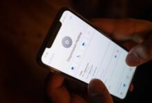 phone number details summary requested