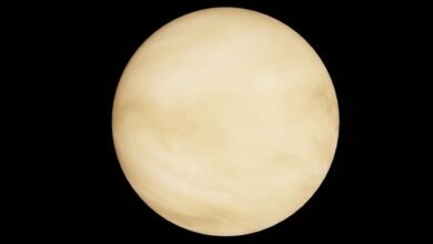 radiant orbit market path