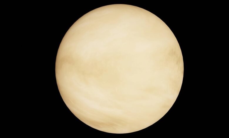 radiant orbit market path