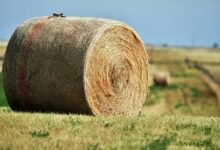 titan beam expansion node four words