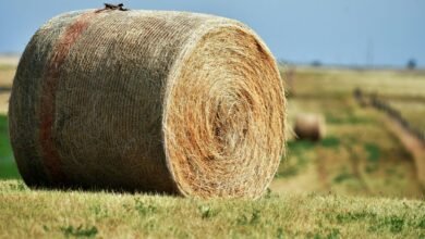 titan beam expansion node four words