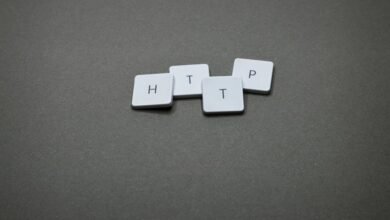 ip address network overview with details