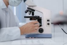 kialodenzydaisis mortality mechanisms explained