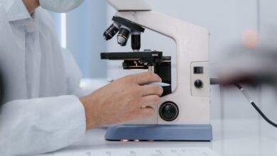 kialodenzydaisis mortality mechanisms explained