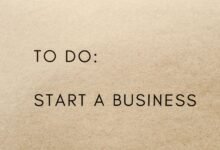 starting with anaestrada0310 successfully